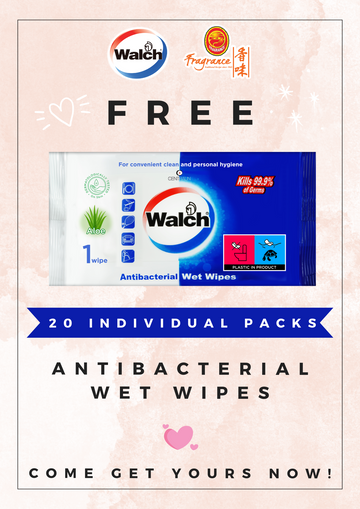 Walch Antibacterial Wet Wipes (20 Individual Packets)